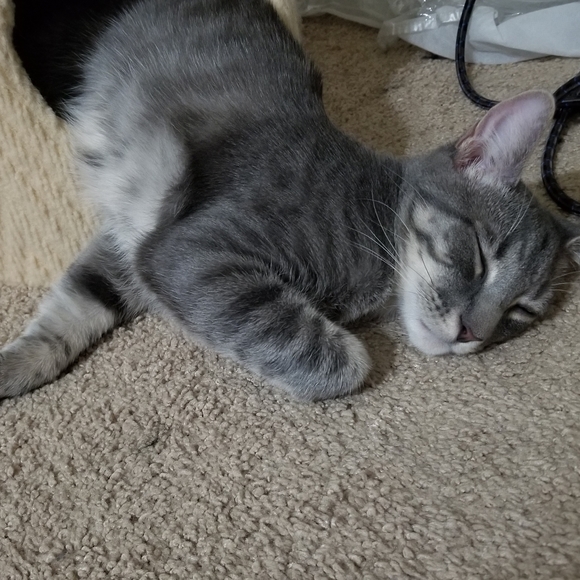 Meet your Posher, N - Picture 7 of 7